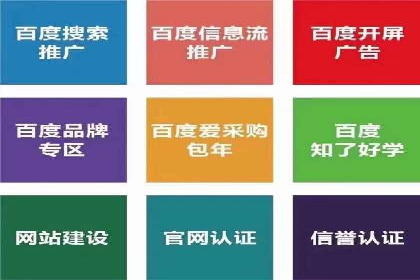 某知名企业SEM主管的成长之路